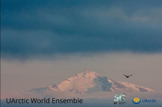 Uarctic World Ensemble bilde av fjell og fugl